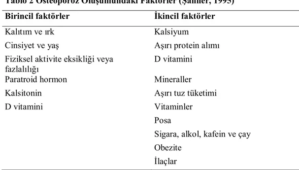 Tablo 2 Osteoporoz Oluşumundaki Faktörler (Şanlıer, 1995) 