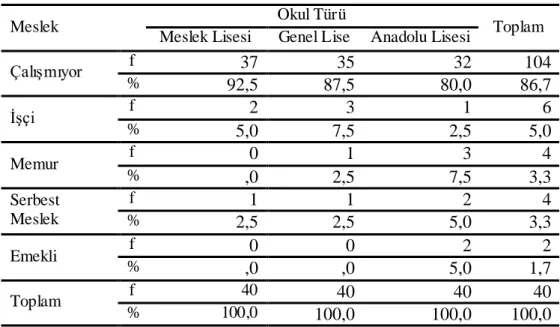 Tablo 8 : Anne Mesleği Dağılımı 