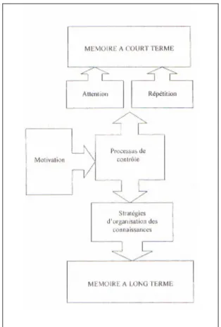 Figure 5.Le schéma récapulatif de l’action de la motivation sur la mémoire 