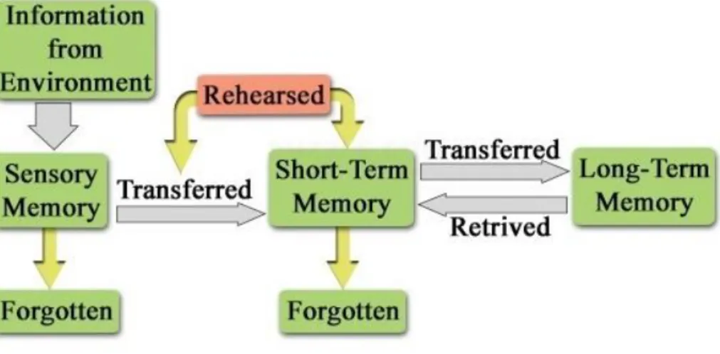 Figure 7. Information processing model 