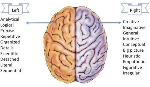 Figure 9. Specialized tasks of left and right hemispheres of the human brain 