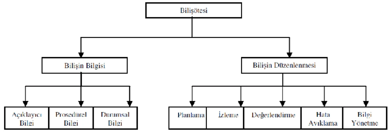 Şekil 2.2 Schraw'ın Bilişötesi Modeli