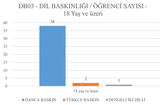 Şekil 8. Dil baskınlığı / öğrenci sayısı - 18 yaş ve üzeri 