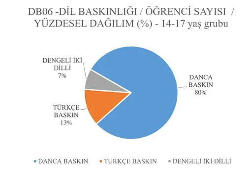 Şekil 11. Dil baskınlığı / öğrenci sayısı, yüzdesel dağılım, 14-17 yaş grubu 