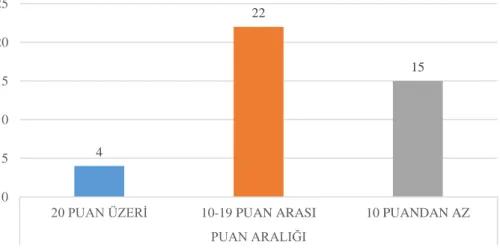 Şekil 14. Dil puanı aralığı / öğrenci sayısı, Türkçe, 18 yaş ve üzeri 