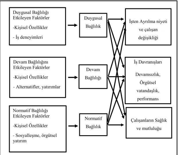 Şekil 5: Örgütsel bağlılığın üç boyutlu modeli, Kaynak: Meyer vd. (2002)