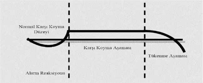 Şekil 1. Genel uyum sendromu  