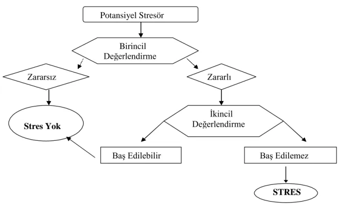 Şekil 2. Lazarus’un stres modeli  