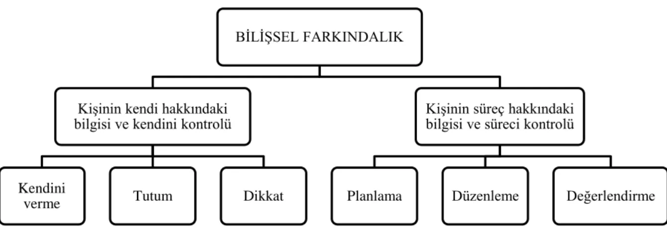 Şekil 2. Bilişsel farkındalığın boyutları 