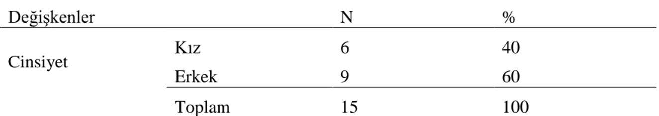 Tablo 10.                                                                                                                      Katılımcı Öğrencilerin Kişisel Bilgilerine Göre Dağılımı 