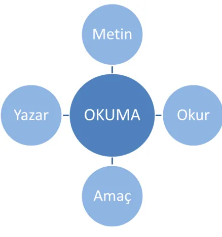 ġekil 2: Okumayı OluĢturan Öğeler 