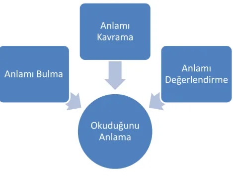 ġekil 4: Okuduğunu Anlamanın AĢamaları 