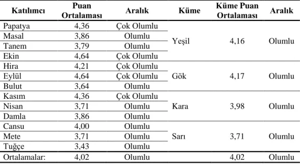 Tablo 12. Örnek Senaryo için SDF'nin Likert türdeki maddelerinin sonuçları  Katılımcı  Puan 