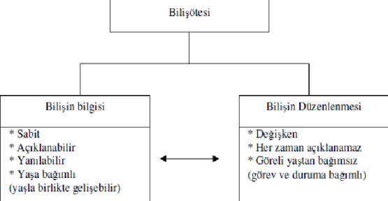 Şekil 2.2 Brown‟un ÜstbiliĢsel Modeli (Kaynak: Akın, 2006) 