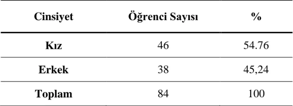 Tablo 3.1. Pilot Çalışma Örneklemi Öğrenci Sayıları 