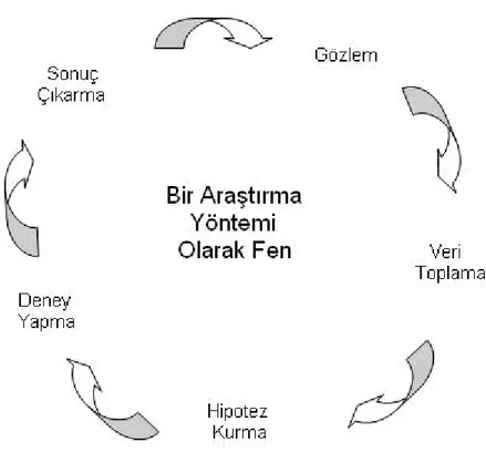 Şekil 2.1. Bir Araştırma Yöntemi Olarak Fen’in Aşamaları 