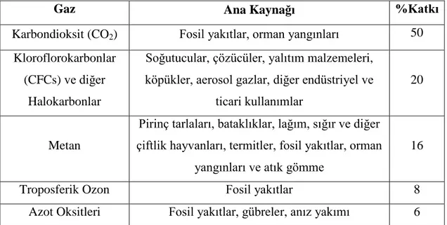 Tablo 2.6.1. Sera Gazları, Ana Kaynakları ve Küresel Isınmaya Katkı  Yüzdeleri 