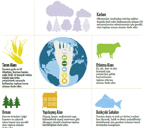 Şekil 2.2.  Ekolojik ayak izi bileşenleri (WWF, 2012) 