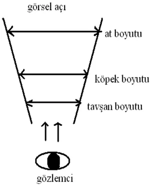 Şekil 2.4. Kosslyn’in Betimleme Teorisine Göre, Görsel Betimleme Sinir Bilimi Örneği  Yukarıda sözü edilen boyutta bir birliğin ortaya çıkışı, 1970’lerin sonlarına  kadar gitmektedir