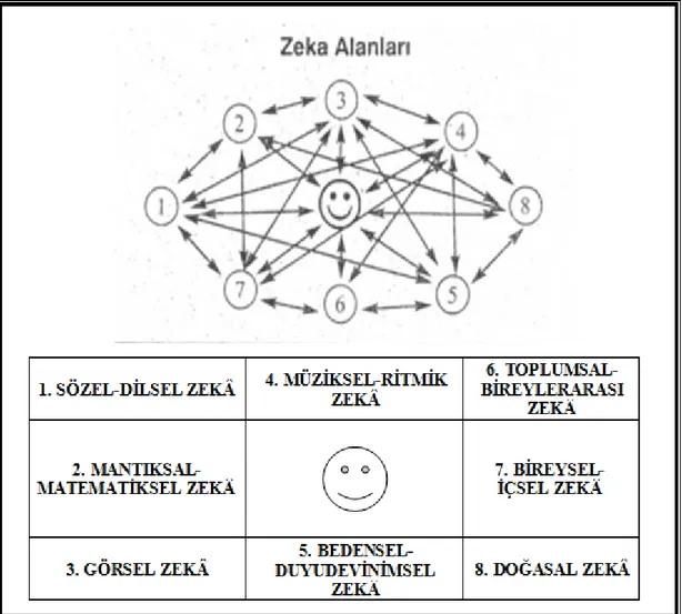 Şekil 1: Çoklu Zekâ Alanlarının Birbiriyle İlişkisi (Purtul, 2006) 