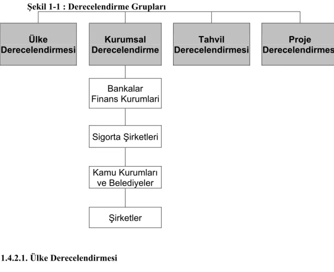 Şekil 1-1 : Derecelendirme Grupları 