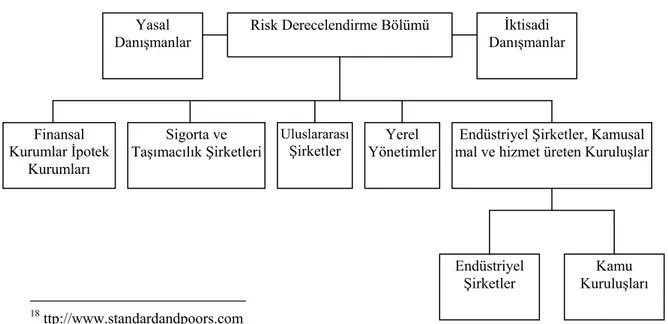 Şekil 1-2 : Standart&amp;Poor’s Derecelendirme Bölümünün Organizasyon Yapısı  İktisadi  Danışmanlar  Sigorta ve  Taşımacılık Şirketleri Yerel  Yönetimler