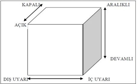 Şekil 1. Üç boyutlu motor becerilerin sınıflandırılması (Knapp, 1963) 