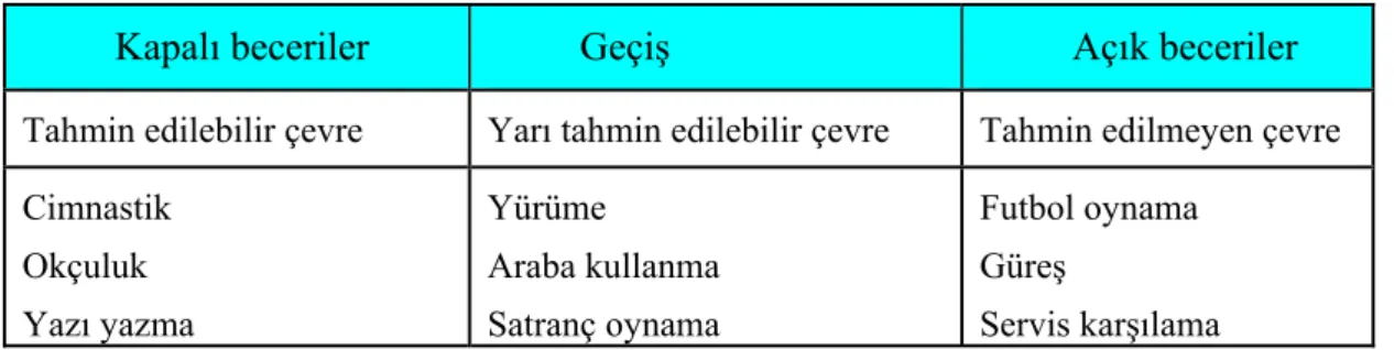 Şekil 3. Beceri türleri ve özellikleri (Schmidt, 1993). 