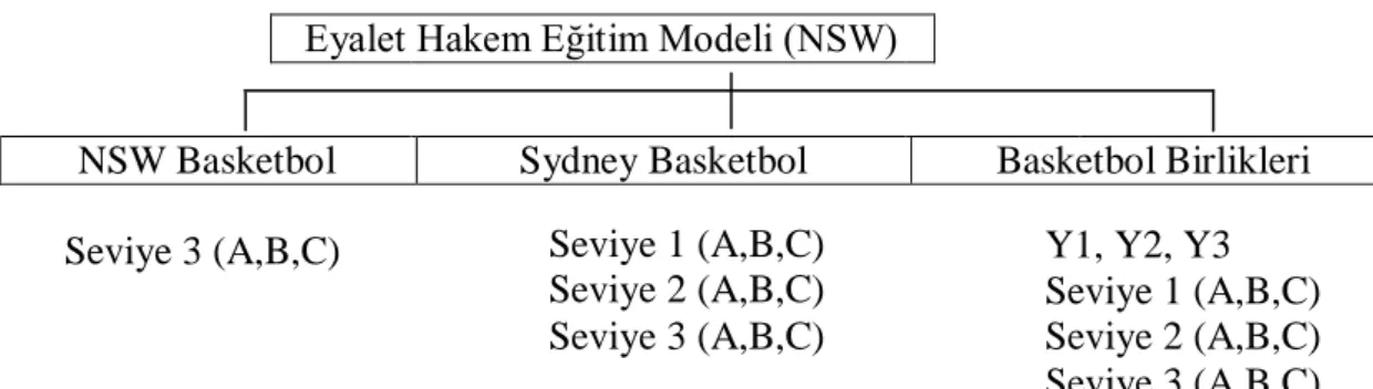 Şekil 4. New South Wales Eyaleti Hakem eğitim modeli 