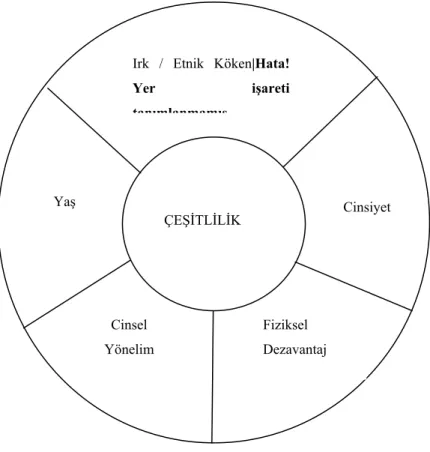 Şekil 3. Çeşitliliğin Boyutları 