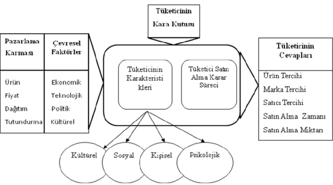 ġekil 2: Tüketici Satın Alma Davranış Modeli 