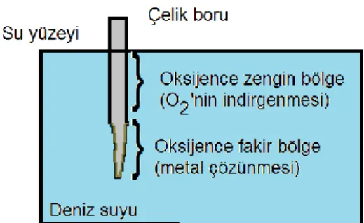 Şekil 9. Su Altı Korozyonu 