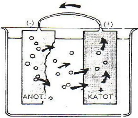 ġekil  2.4.  Bir  Korozyon  Hücresinde  Akım  ve  Elektronların  Yönü  (Yanardağ,  2004)