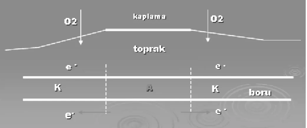 ġekil 2.6 Toprak Korozyonu OluĢum Mekanizması ( Bilgin, 2008) 