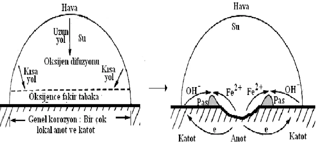 ġekil 2.9 Çukurcuk Korozyonu OluĢum Mekanizması 