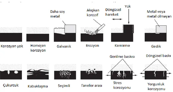 Şekil 4. Korozyonun yaygın türleri şeması (Davis, 2000, s.5) 