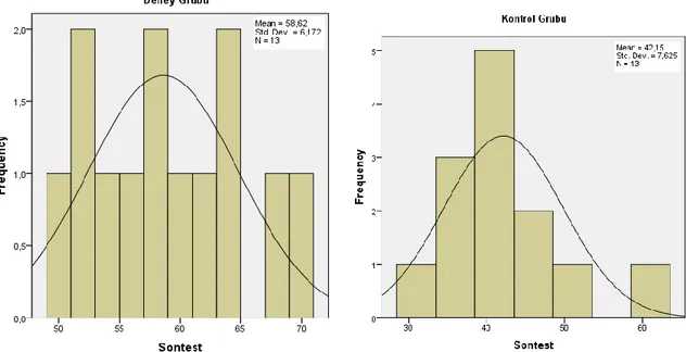 Şekil 5. Kelime hazinesi başarı testi deney ve kontrol grubu sontest histogramları 