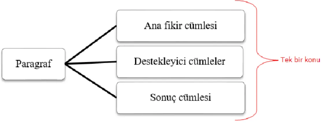 Şekil 3. Paragrafın yapısı 