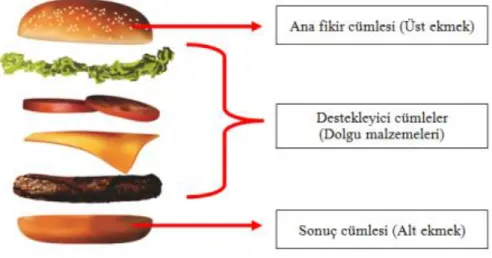 Şekil 4. “Hamburger” paragrafı 