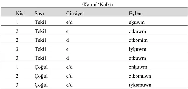 Tablo 4 ve Tablo 5’ten de anlaşılabileceği gibi, 2. tekil dişil kişi, 2. çoğul e/d kişi ile 3