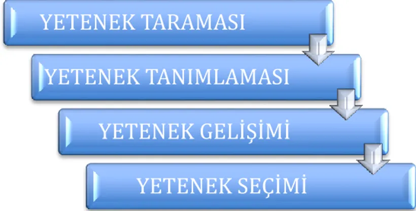 Şekil 1  “The stages of the pursuit of excellence”, Williams ve Reilly, 2000, 
