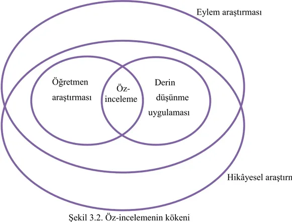 Şekil 3.2. Öz-incelemenin kökeni 