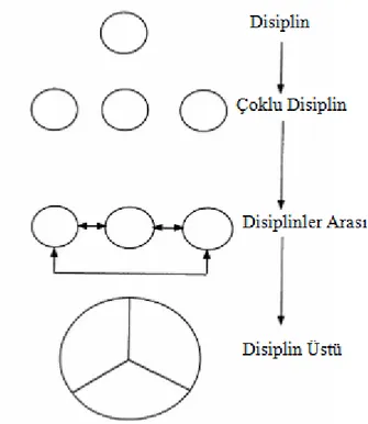 Şekil 2. Piaget (1972) ’in  disiplinlerarası modeli 