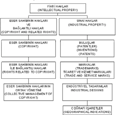 Tablo 1 Fikri Haklara ilişkin kavramlar 