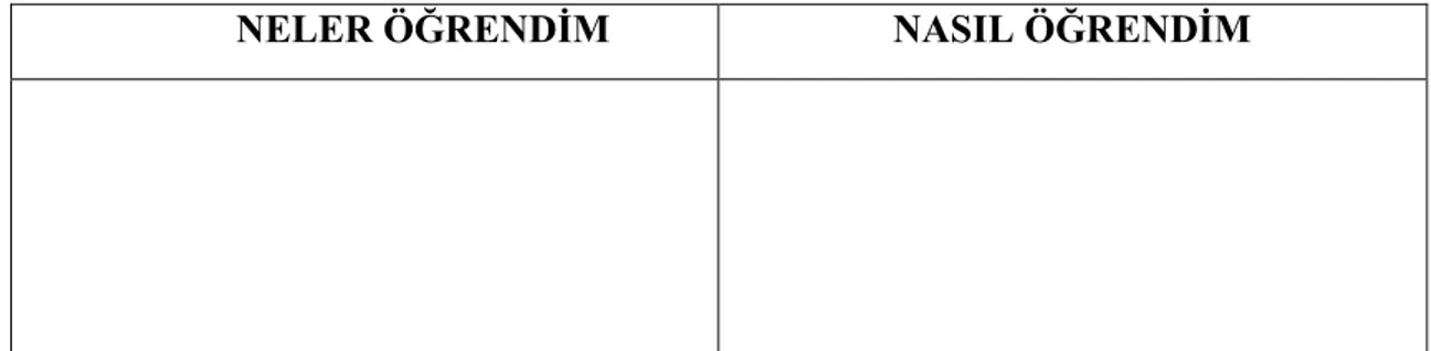 ġekil 2.3 Geriye dönelim etkinliği için örnek form 