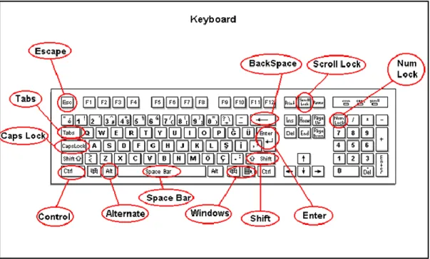 ġekil 1. Standart ve her klavyede mevcut olan tuĢlar  Klavye TuĢları ve görevleri: 