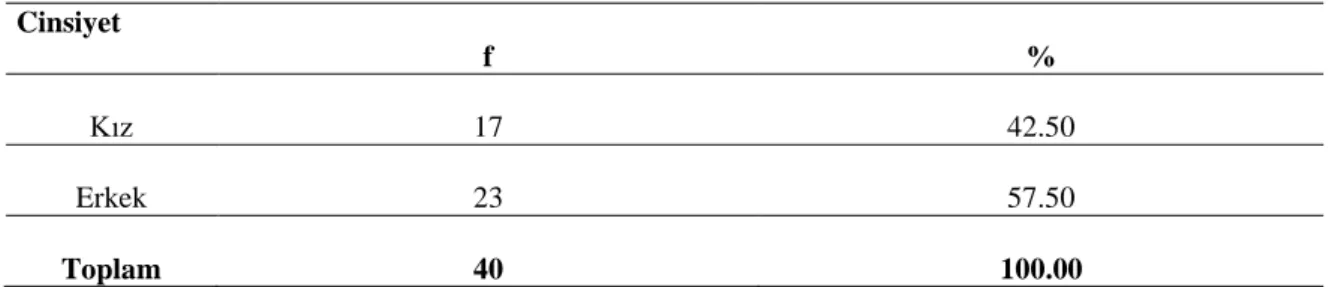 Tablo 9. Öğrencilerin Cinsiyet Durumunu Gösteren Dağılım