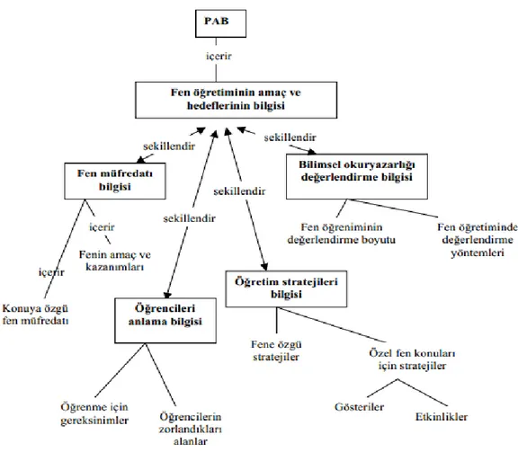 ġekil 2.5. Magnusson ve diğerlerinin (1999) Pedagojik Alan Bilgisi Modeli 