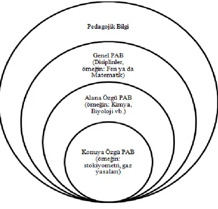 ġekil 2.8. Pedagojik Alan Bilgisi Türleri (Veal ve MaKinster, 1999) 