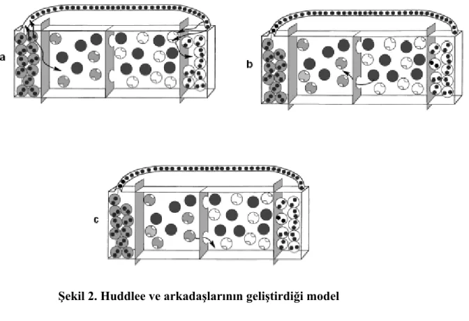 Şekil 2. Huddlee ve arkadaşlarının geliştirdiği model  